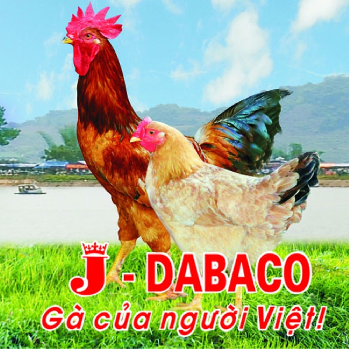 Gà Ri Dabaco